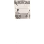 6-1-150x150 MARCELLA MARCONE